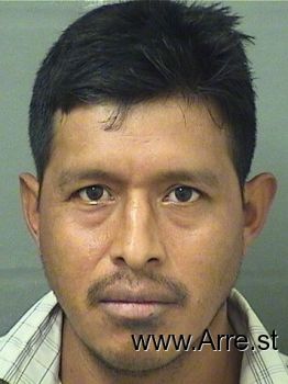 Cesario  Lopezvelasquez Mugshot