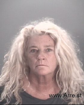 Cheryl Lee Anderson Mugshot