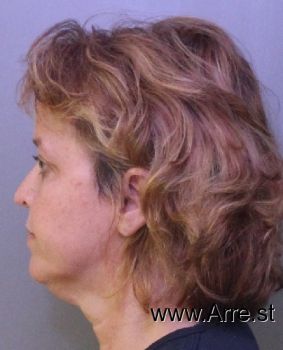 Cheryl Lynn Clark Mugshot