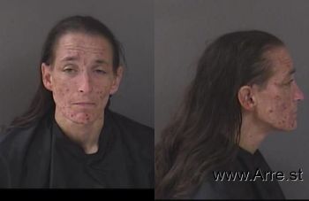 Cheryl Lynne Heitzmann Mugshot