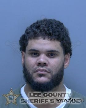 Christian Borrero Baez Mugshot