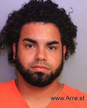 Christian Wilfredo Baez Sanchez Mugshot