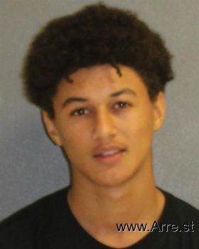 Christian  Brown Mugshot