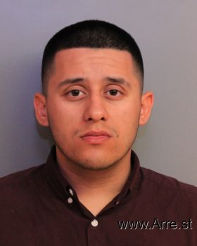 Christian Enrique Pineda-arias Mugshot