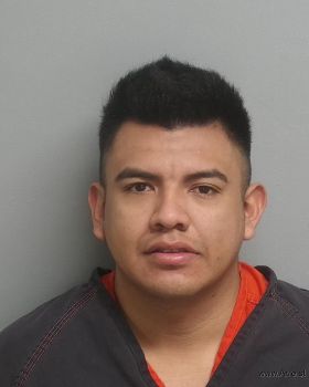 Christian Alexis Torres Vidal Mugshot