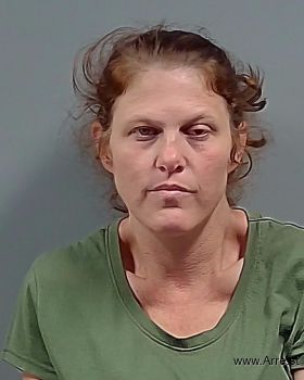 Christina Ann Brown Mugshot