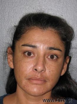 Christina Rose Diaz Mugshot