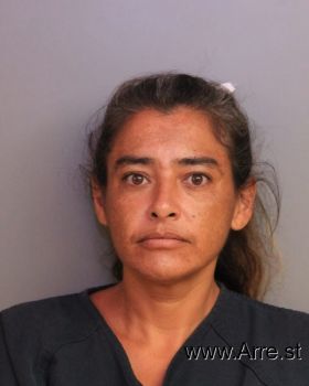 Christina  Diaz Mugshot