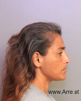 Christina Rose Diaz Mugshot