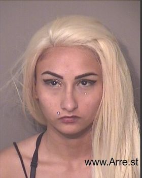 Christina  Herrera-ramirez Mugshot