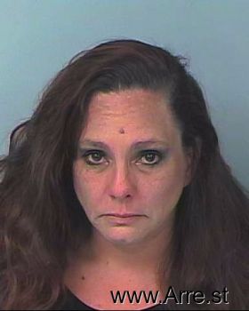 Christina Marie Howell Mugshot