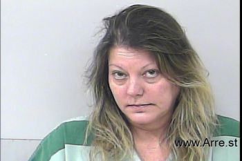 Christina Luellen James-holsten Mugshot