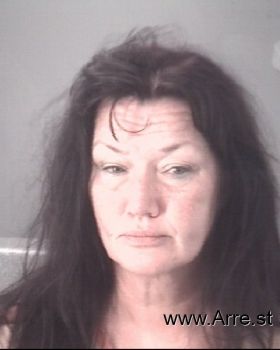 Christina Lynn Scheidt Mugshot