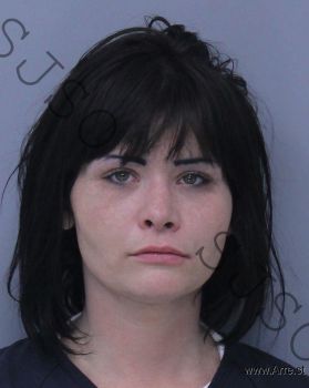 Christina Anne Turner Mugshot