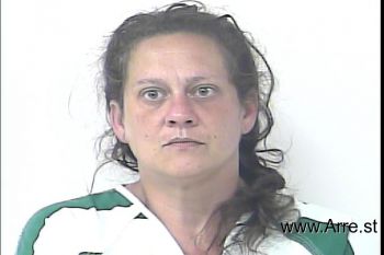 Christina Lynn Ward Mugshot