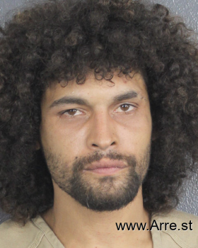 Christopher  Figueroa Sanchez Mugshot