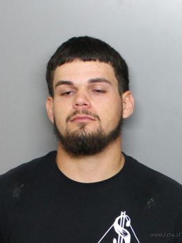 Christopher Blais Gallant Mugshot