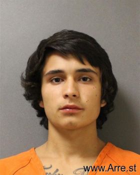 Christopher  Maldonado Mugshot