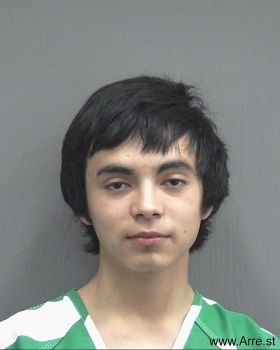 Christopher Michael Pelletier Mugshot