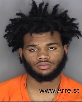 Christopher Anthony Reese Mugshot