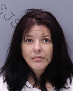 Christy Lee Cunningham Mugshot