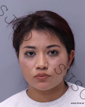 Cinthya Huerta Zamora Mugshot