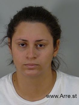 Claudia Elena Sanchez-olavarrieta Mugshot