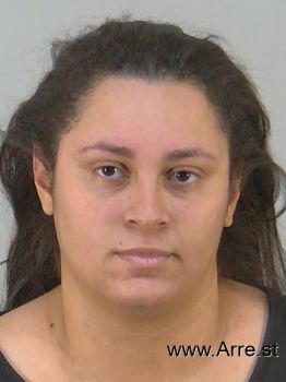 Claudia Elena Sanchez-olavarrieta Mugshot