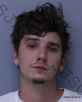 Colton Emerson Hodges Mugshot