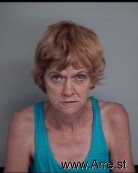 Connie Ann Morrison Mugshot