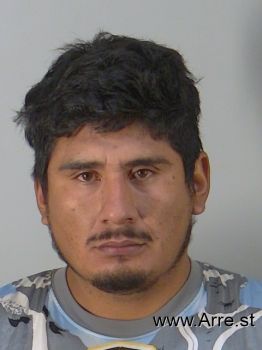 Constantino  Suarez Celaya Mugshot