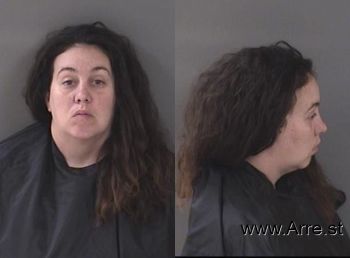 Courtney Anne Mcbride Mugshot