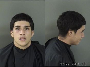 Cristian  Guzman Mugshot