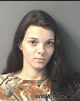 Crystal Lynn Perkins Mugshot