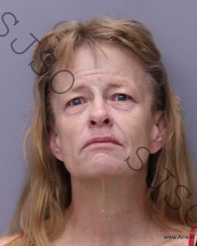 Cynthia Lynne Bright Mugshot