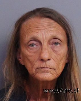 Cynthia Dianne Collins Lee Mugshot