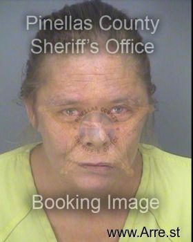 Dana Lynn Stewart Mugshot