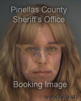 Dana L Wells Mugshot