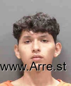 Daniel Jr Cardenas Mugshot