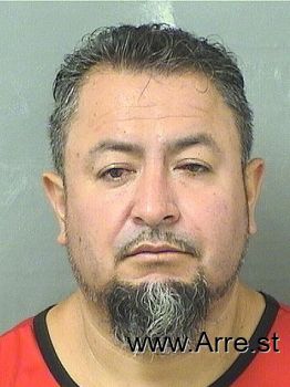 David  Medinahernandez Mugshot