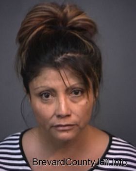 Debi  Cedillo Mugshot