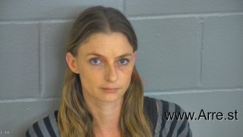 Deborah Gayle Lee Mugshot