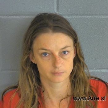 Deborah Gayle Lee Mugshot