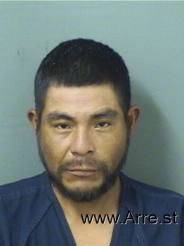 Diego  Modestotomas Mugshot