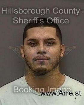 Diego  Perezgarcia Mugshot