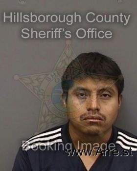 Diego  Tummejia Mugshot