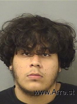 Donald  Martinezzuniga Mugshot