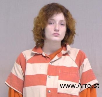 Dakota Renee Johnson Mugshot