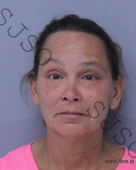 Dana Joanne Brown Mugshot