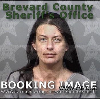 Dana Rene Ward Mugshot